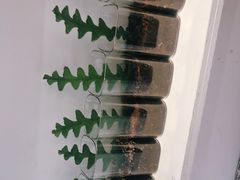 -收获咖啡HARVEST RESERVE(苍山店)