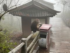 -峨眉山风景名胜区