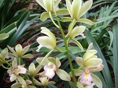 -上海植物园·停车场