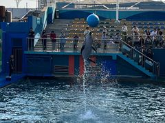 -秦皇岛新澳海底世界