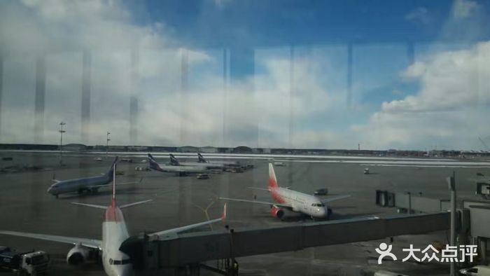 谢列梅捷沃国际机场图片