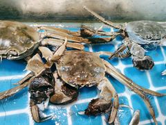 -鑫海汇海鲜烤肉自助(北国商城店)
