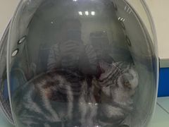 -宠福鑫动物医院(立水桥分院)