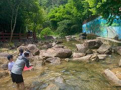 -广州白江湖森林公园