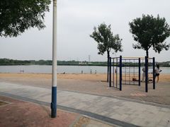 -东营·森林乐园