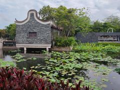-厦门园林博览苑