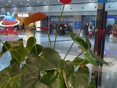 -康师傅私房牛肉面(申虹店)