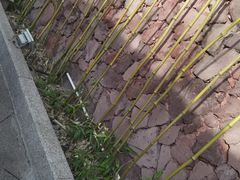 -北京益泉花园酒店