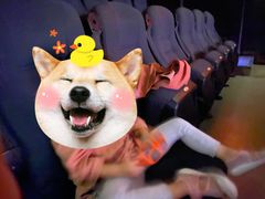 -中影新星影城(万科锦程店)