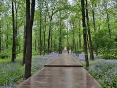 -东北林业大学-俭德园食堂