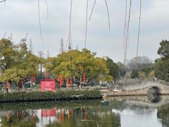 -无锡蠡湖国家湿地公园-蠡园