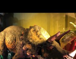 -恐龙探索乐园(磁器口店)