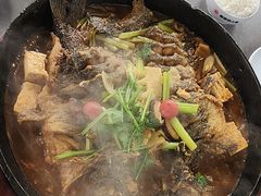 -老板恋上鱼(恒隆广场店)