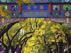 -北京国子监胡同