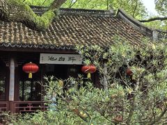 -上海醉白池公园