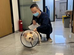 -北京派仕佳德动物医院·超导核磁·CT·神经科·骨科·内外科·急重症管理中心