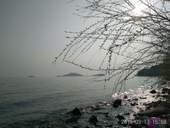 -上海市保健医疗中心(华东疗养院)