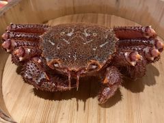 -蟹田居·活蟹料理(东城店)