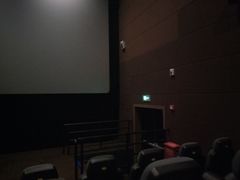 -SFC上影百联影城(川沙IMAX店)