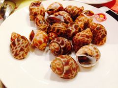 冰冻花螺-芭菲盛宴·环球美食(解放碑英利国际店)