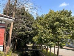 -桤木河湿地公园