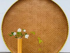 -猫头鹰照相馆(国贸店)