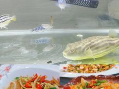-农家湘菜(安亭店)