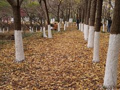 -白马涧龙池景区
