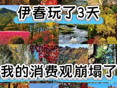 -汤旺河林海奇石景区
