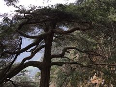 -大明山自然探索公园