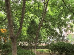 -滨河世纪广场公园