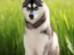 -真枪会射击俱乐部(河西中央公园店)