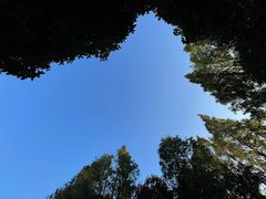 -滨江森林公园-真人CS野战场