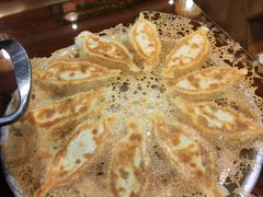 三鲜锅贴-姜家味锅贴小海鲜