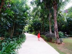 -三亚湾海居铂尔曼度假酒店