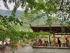 -源泉冷水鱼庄(小鱼洞店)