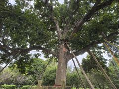 -福建鲤鱼洲酒店