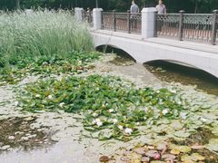 -大连植物园