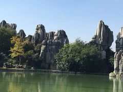 -千岛湖石林