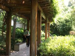 -徐家汇源景区-衡山公园