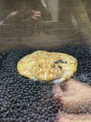 -Zoolung Zoolung动物主题公园(海信广场店)