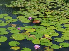 -星巴克(深圳前海企业公馆店)