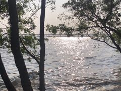 -宝安西湾红树林湿地公园