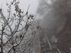 -华山风景名胜区