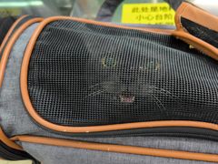 -瑞派动物医院·猫专科·至诚(江南中分院)