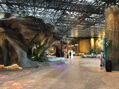 -杭州开元森泊度假乐园