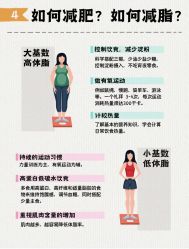 -Fundi张玉珊修身堂·indiba·BTL科技瘦身