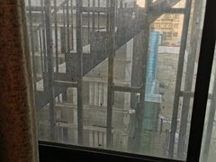 -阿五黄河大鲤鱼(纬三路店)