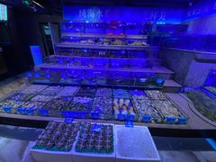 -青蓬蒸汽海鲜·深圳老字号·团建聚会(壹方城店)