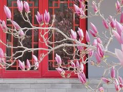 -天津大悲禅院